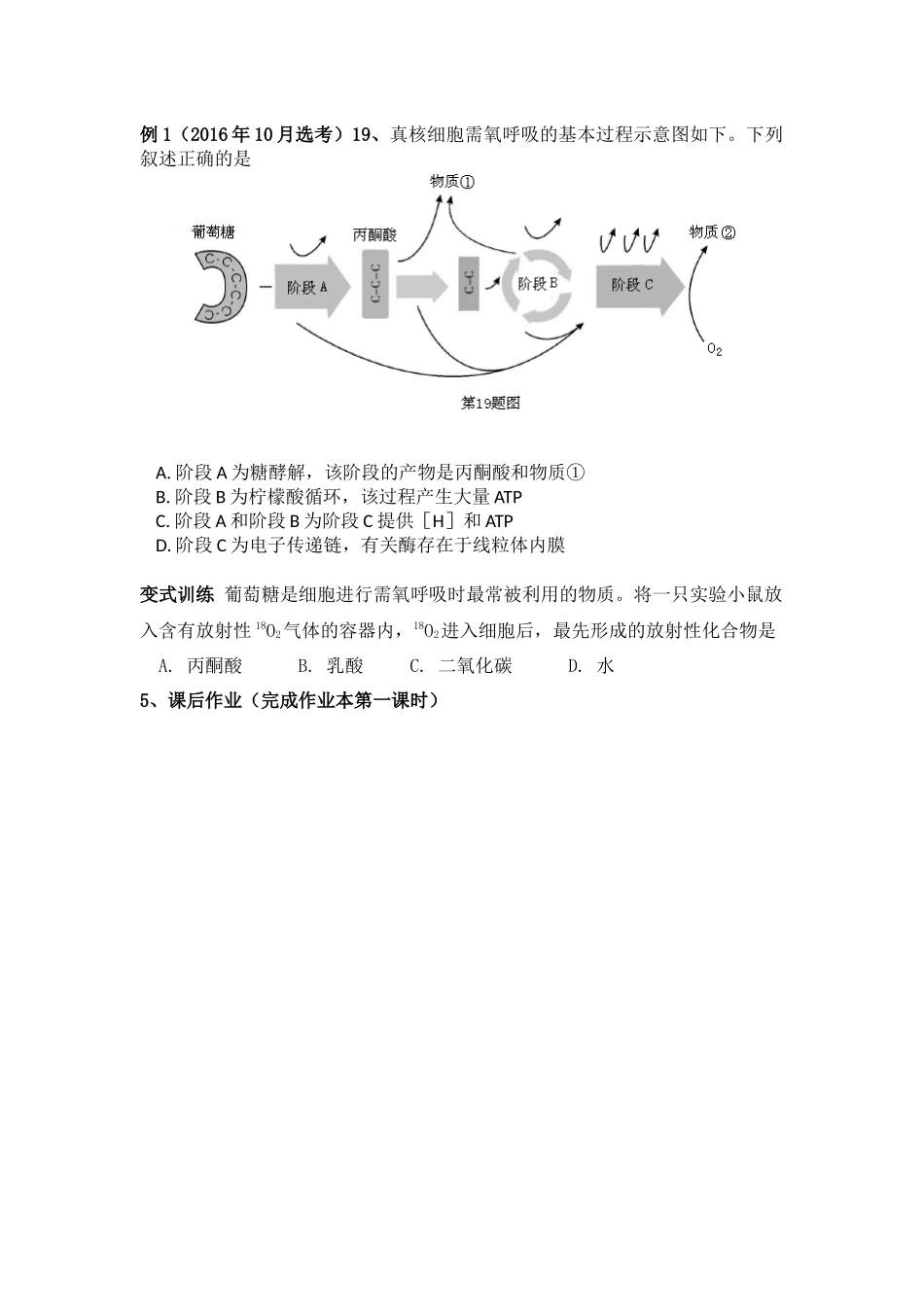 第四节细胞呼吸-(2)_第2页