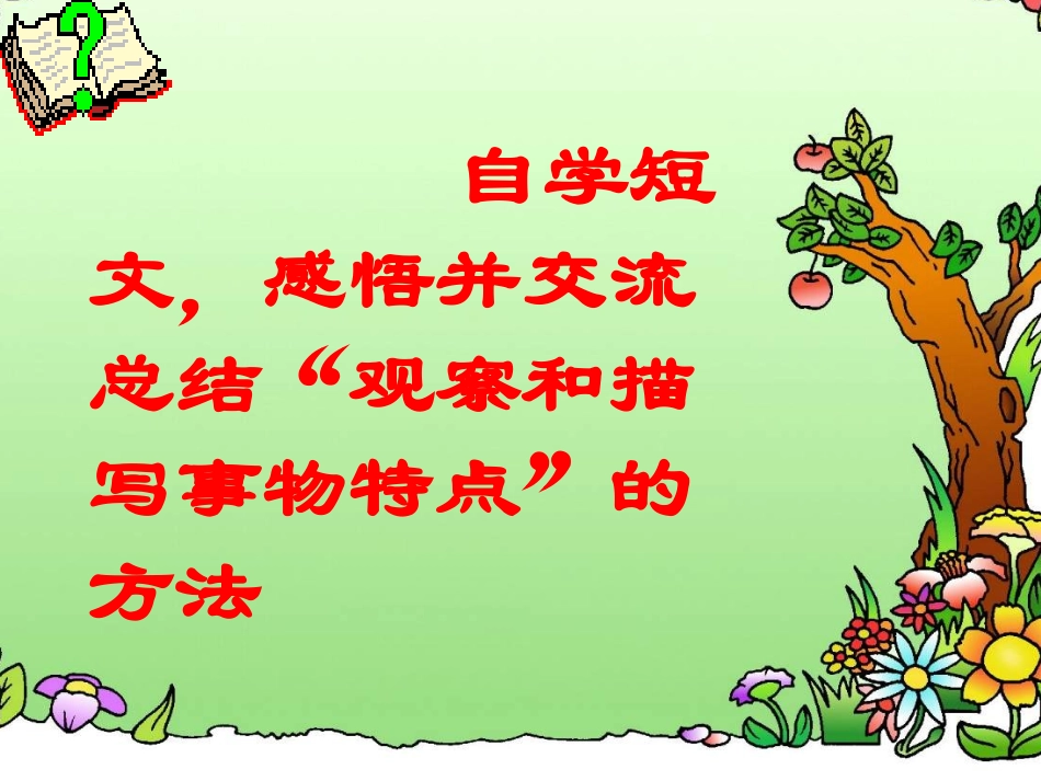 观察和描写事物的特点_第3页