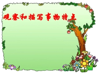 观察和描写事物的特点