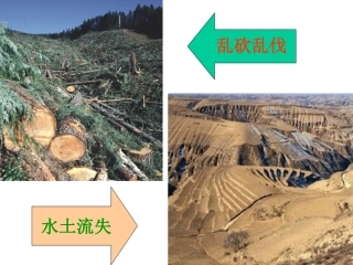 【素材】《人与自然息息相关》自然(鲁人版)