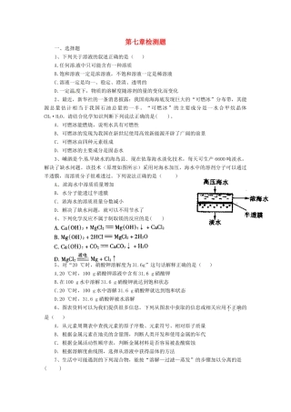 九年级化学下册 第七章 溶液检测题(新版)粤教版试卷