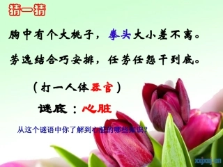 科学家的故事-血液循环的发现