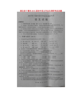 初中语文毕业生调研考试试题(扫描版) 试题