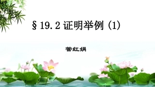19.2证明举例