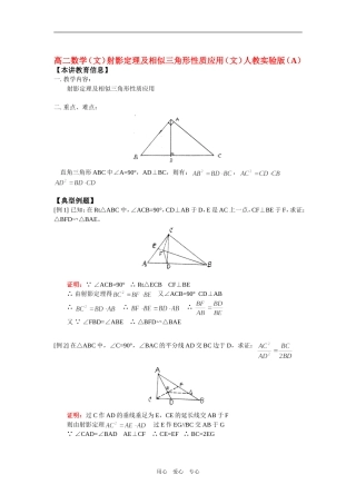 高二数学（文）射影定理及相似三角形性质应用（文）人教实验版（A）知识精讲