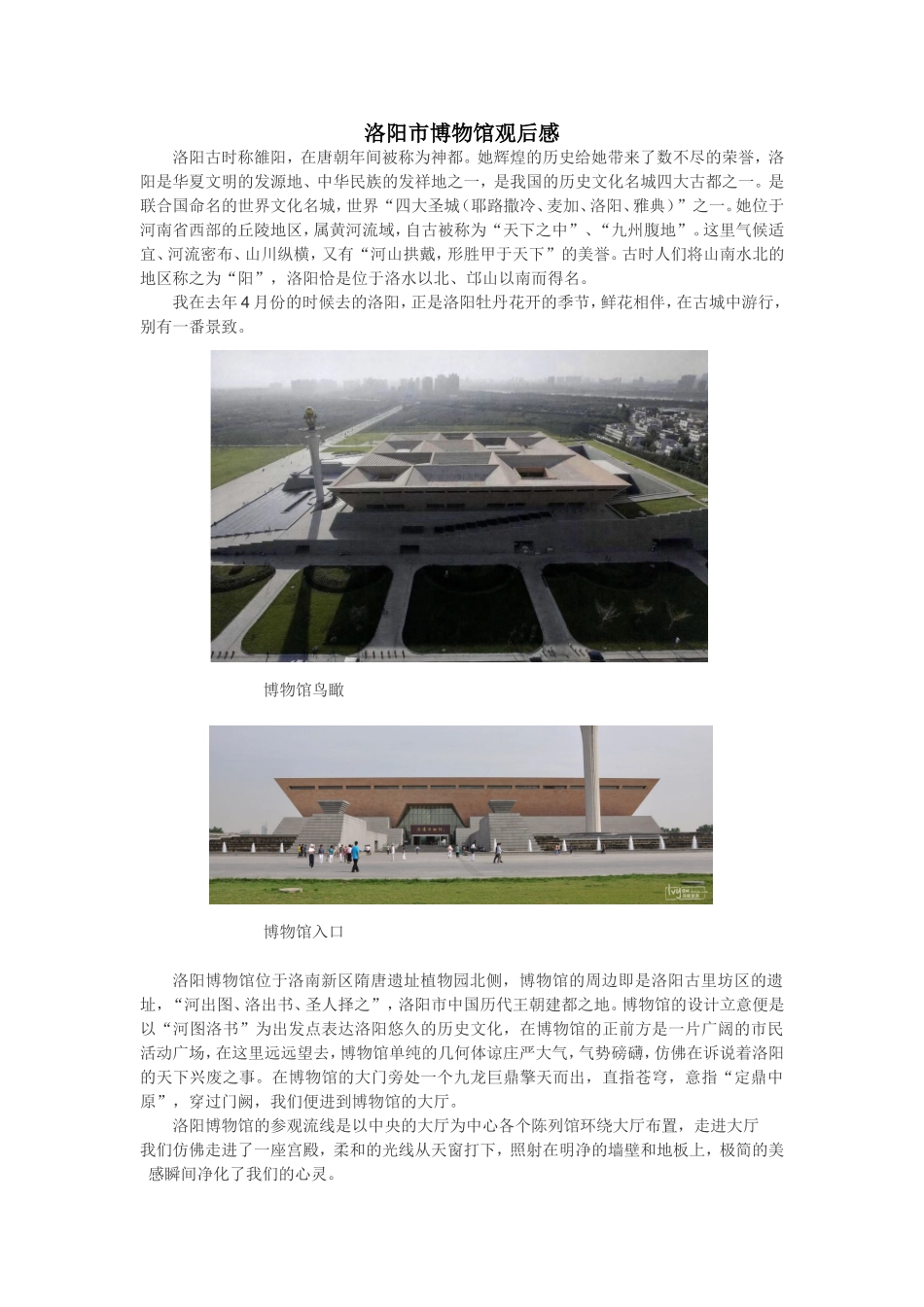 洛阳市博物馆观后感_第1页