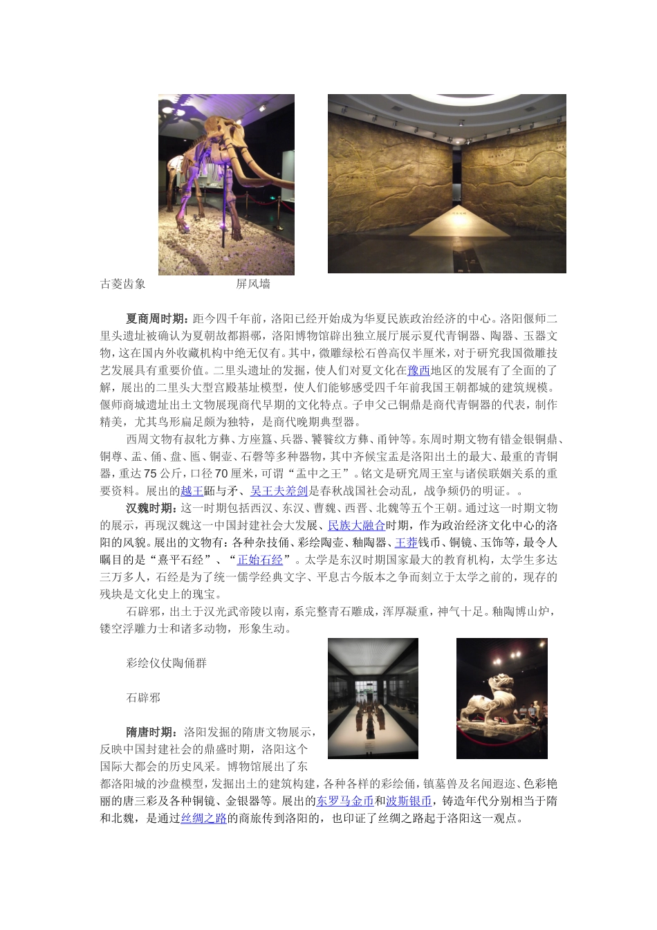洛阳市博物馆观后感_第3页