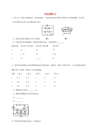 吉林省吉林市中考物理综合复习 电压规律12 新人教版试卷