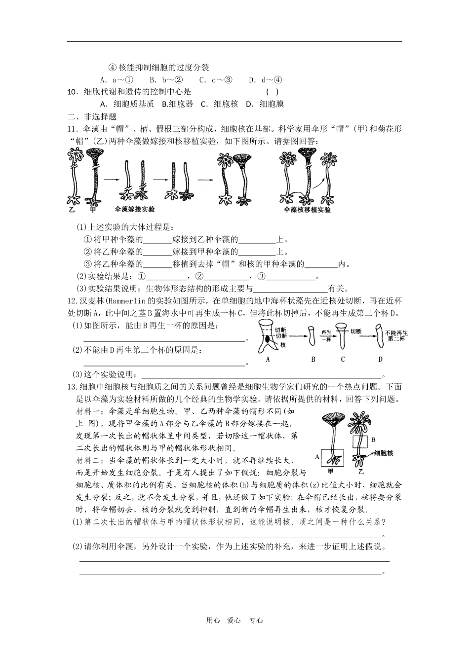 高一生物-3.3《细胞核——系统的控制中心》课后练习必修1_第3页