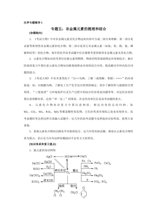化学专题辅导2专题五：非金属元素的梳理和综合