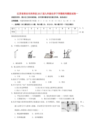 九年级化学下学期统考模拟试卷一试卷