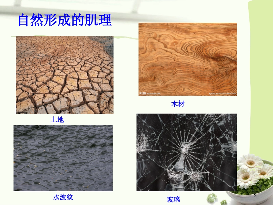 第8课神奇的肥皂粉_第2页