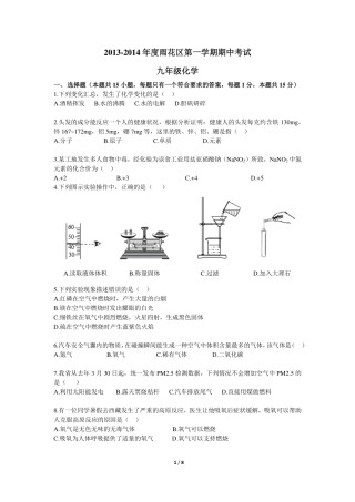 九年级化学上学期中试卷(pdf) 新人教版试卷