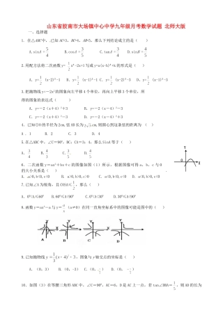 九年级数学月考试卷 北师大版试卷(00002)
