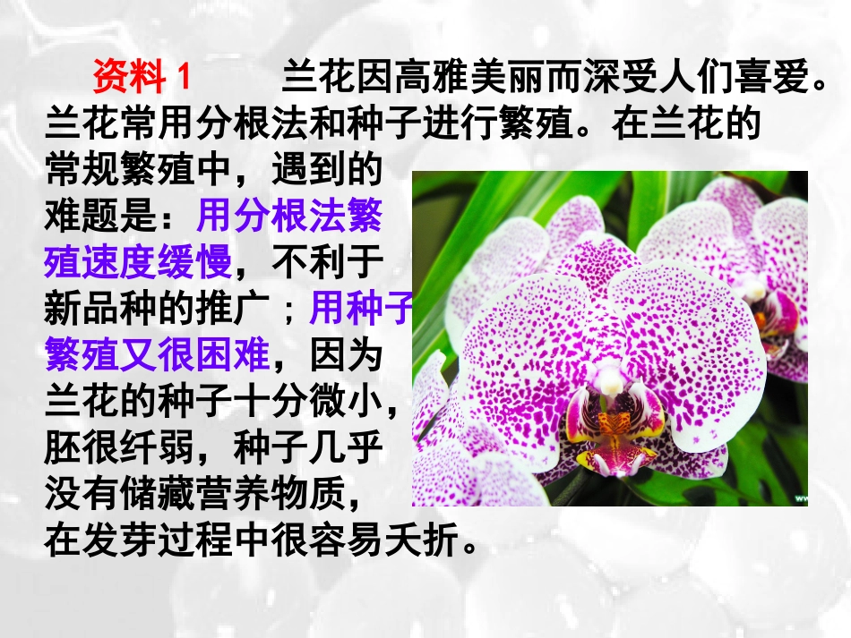 2.1.2-植物细胞工程的实际应用-(3)_第3页