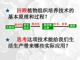 2.1.2-植物细胞工程的实际应用-(3)