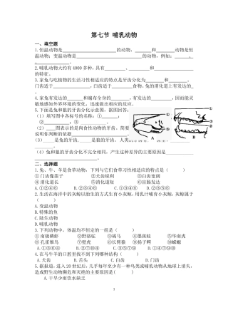 第七节-哺乳动物
