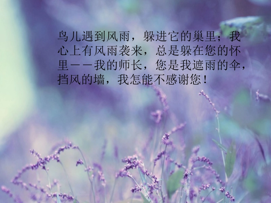 感谢老师的话_第3页