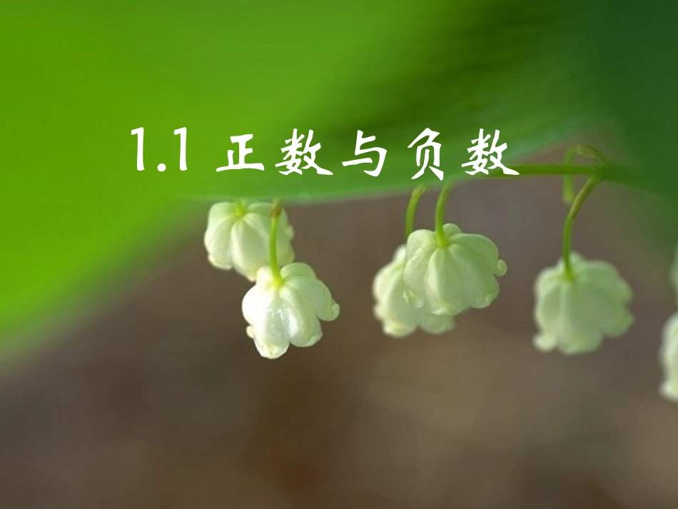 正数和负数.1-正数与负数_第3页