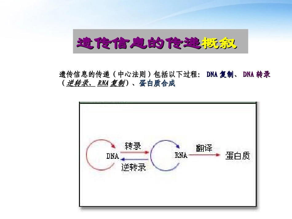 高中生物《遗传信息的传递》课件5-浙科版必修2_第3页