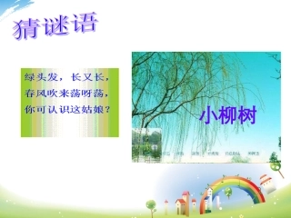 15小柳树和小枣树-20121218113156706-602