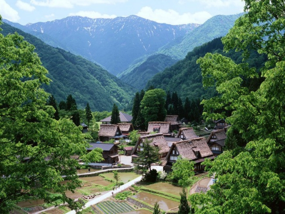 11.剪贴组拼小村庄_第1页