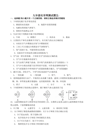 九年级化学 周测试卷五试卷