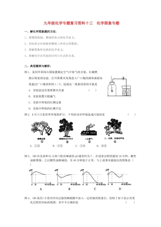 九年级化学专题复习资料十三  化学坐标图象专题试卷