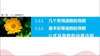 1.2.1几个常见函数的导数
