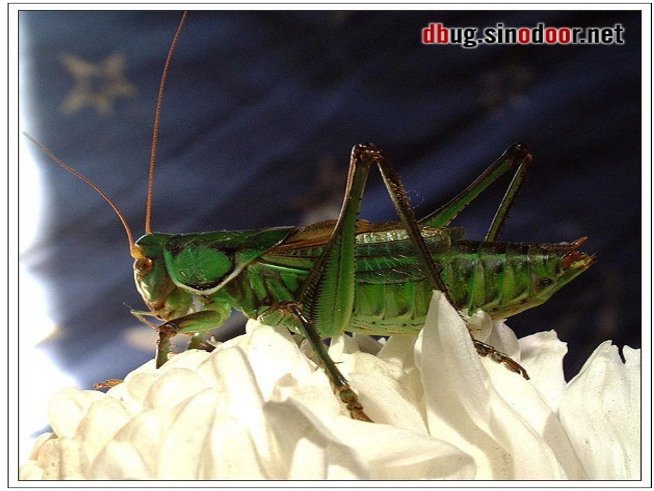 使用外国诗两首_第2页