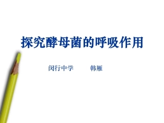 酵母菌的呼吸方式
