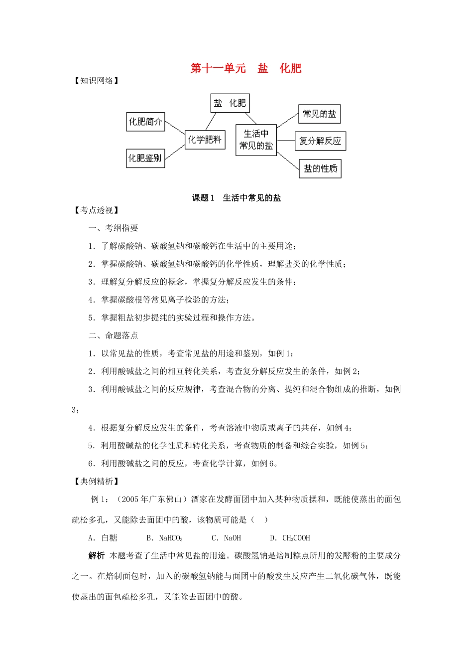 九年级化学 第十一单元 盐 化肥知识点分析 人教新课标版试卷_第1页