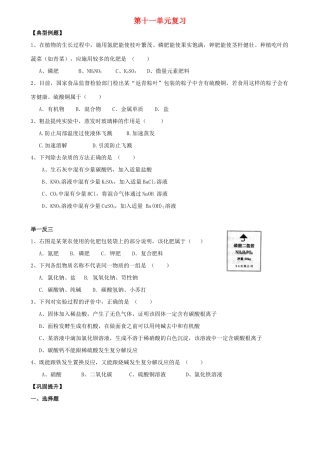 九年级化学下册 第十一单元 盐 化肥单元复习题(新版)新人教版试卷