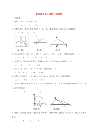 九年级数学下学期复习作业23 锐角三角函数试卷