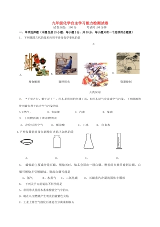 九年级化学自主学习能力检测试卷4(新版)沪教版试卷