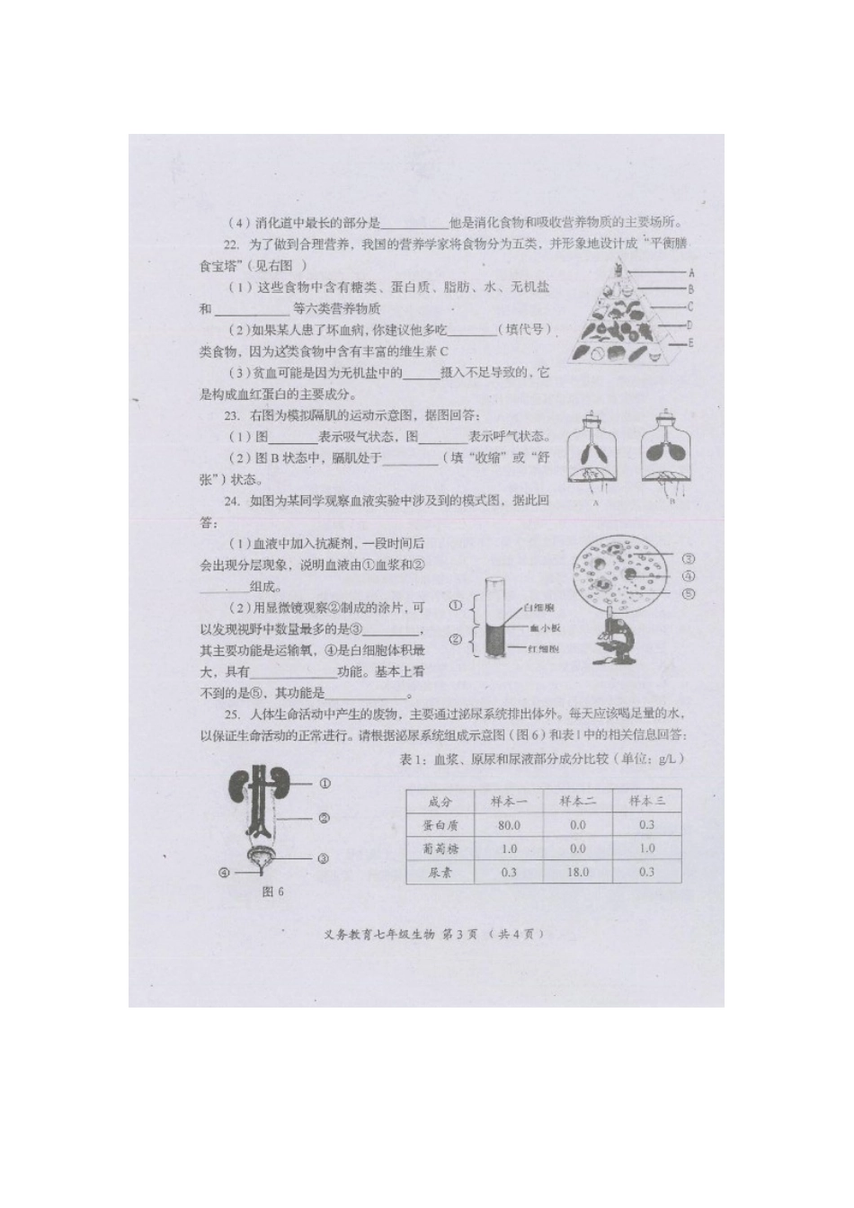 四川省资阳市安岳县七年级生物下学期期末考试试卷 新人教版试卷_第3页