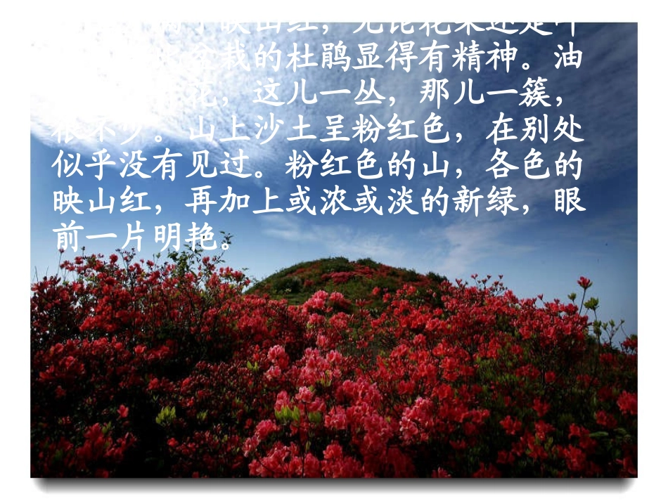 金华双龙洞的沿途景色(2)_第3页