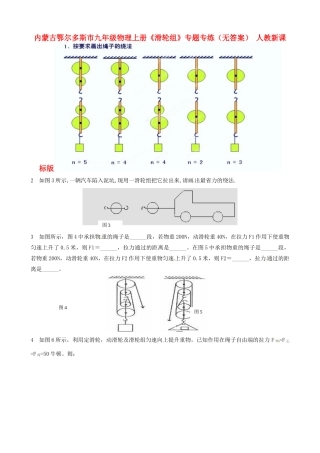 九年级物理上册(滑轮组)专题专练 人教新课标版试卷