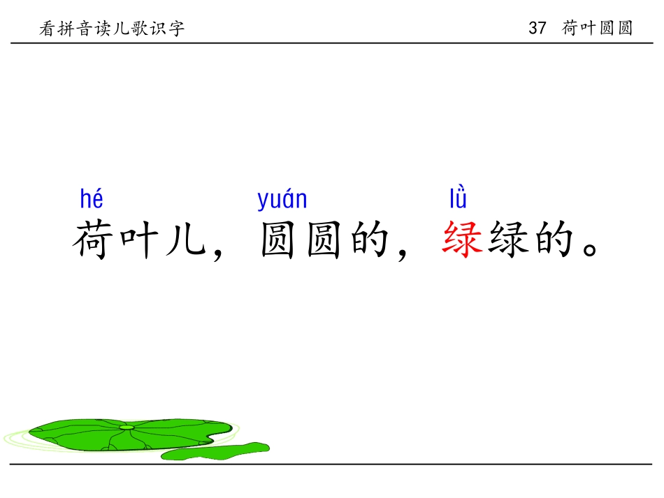 37荷叶圆圆_第2页