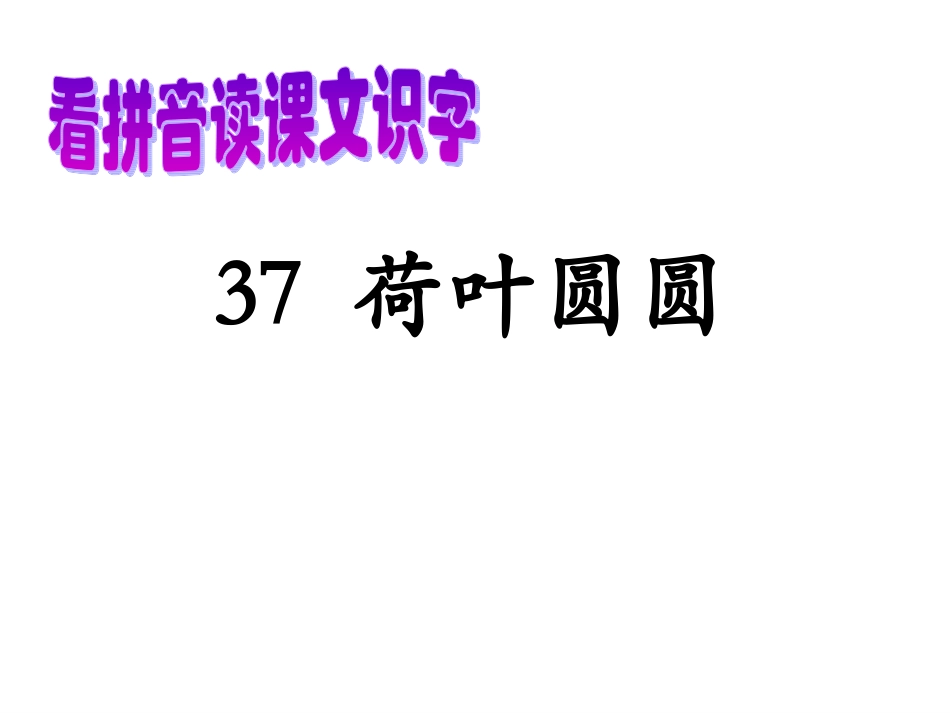37荷叶圆圆_第3页
