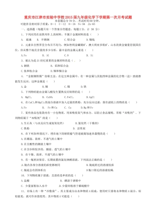 九年级化学下学期第一次月考试卷(B，无答案)试卷