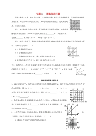 九年级物理上册 欧姆定律的运用专题2 图象信息问题(新版)教科版试卷