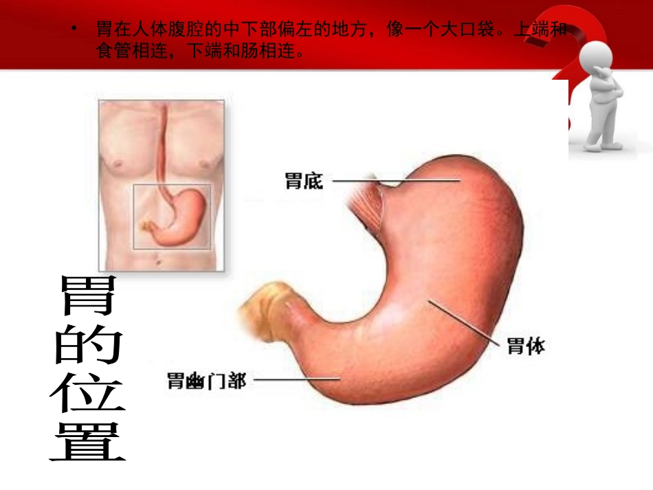 胃肠的功能与保健_第3页