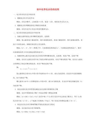 初中化学化合价的应用 专题辅导 不分版本 试题