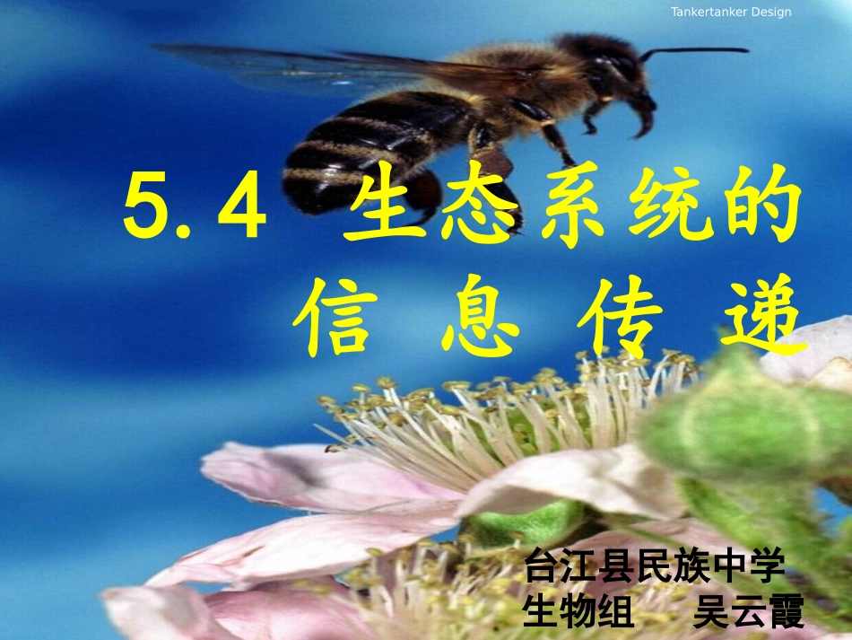 四生态系统中的信息传递_第1页