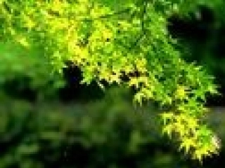 春-朱自清-课件