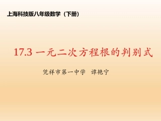 17.3一元二次方程的根的判别式