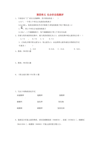 九年级化学上册 第四单元 化合价自我测评 新人教版试卷