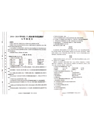 四川省成都市金牛区七年级语文下学期期末考试试卷(pdf，无答案)试卷