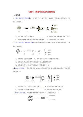 决胜中考化学压轴题揭秘 专题01 质量守恒定律之模型图(中考题，无答案) 试题